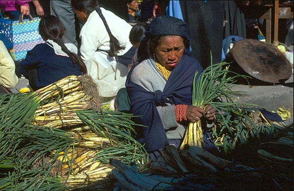 Prodavačka pórku, trhy v Otavalu