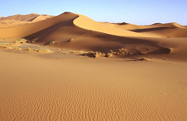 Písečná duna na Erg Chebbi