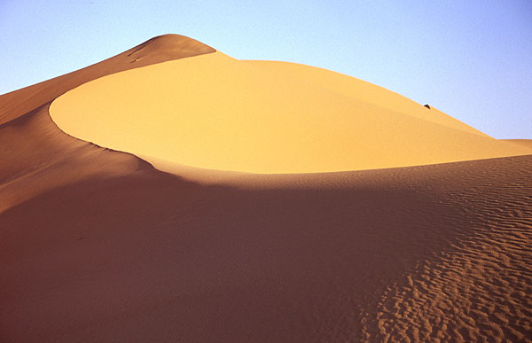 Ladné křivky písečné duny