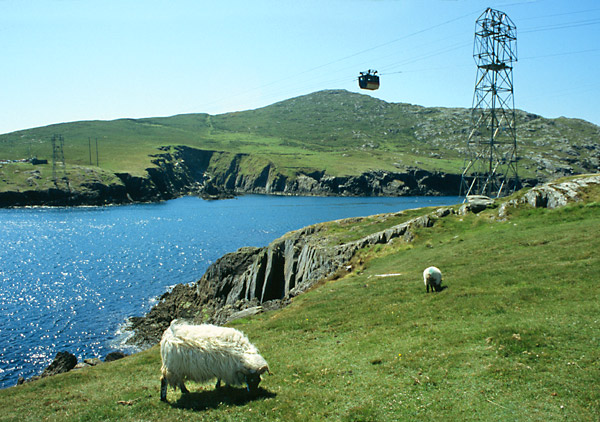 Ovce a lanovka na ostrov Dursey