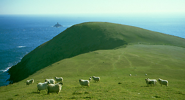 Dursey Head