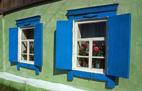 Modré okenice