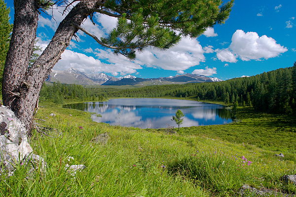 Altaj, jezero na kraji horské louky