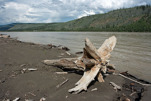 Na břehu řeky Yukon