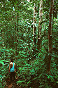 Strážce parku v tropickém pralese