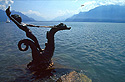 Socha v Ženevském jezeře, Vevey
