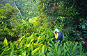 Fotograf v tropickém pralese